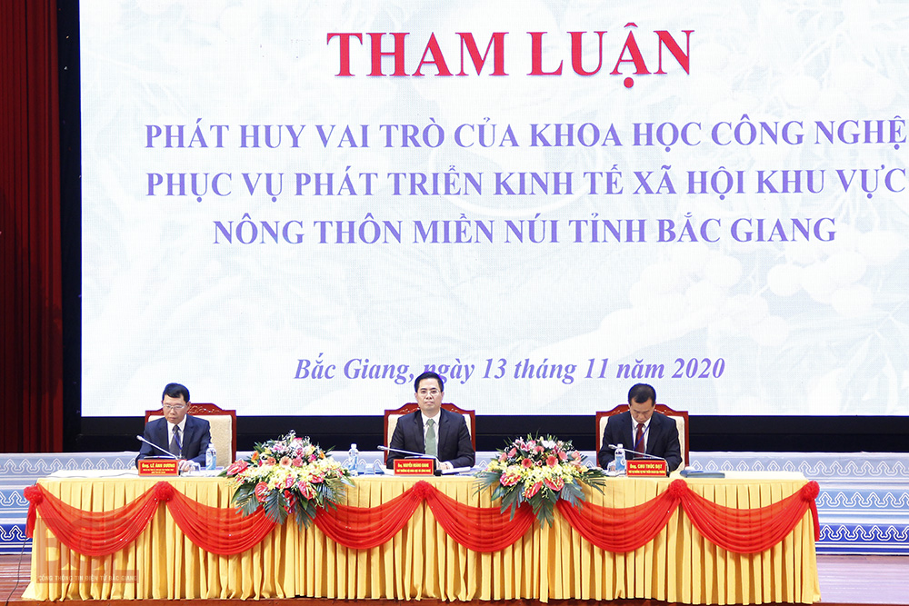 Không có ảnh
